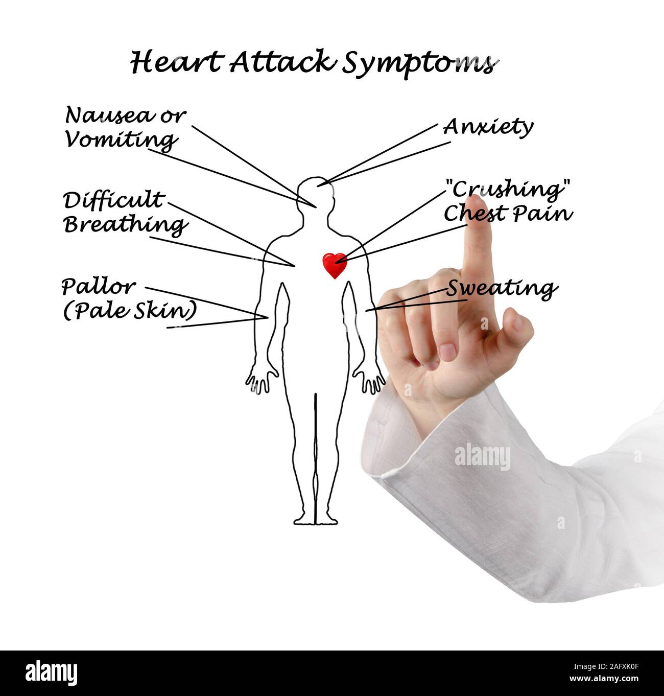Ms Heart Attack Hot