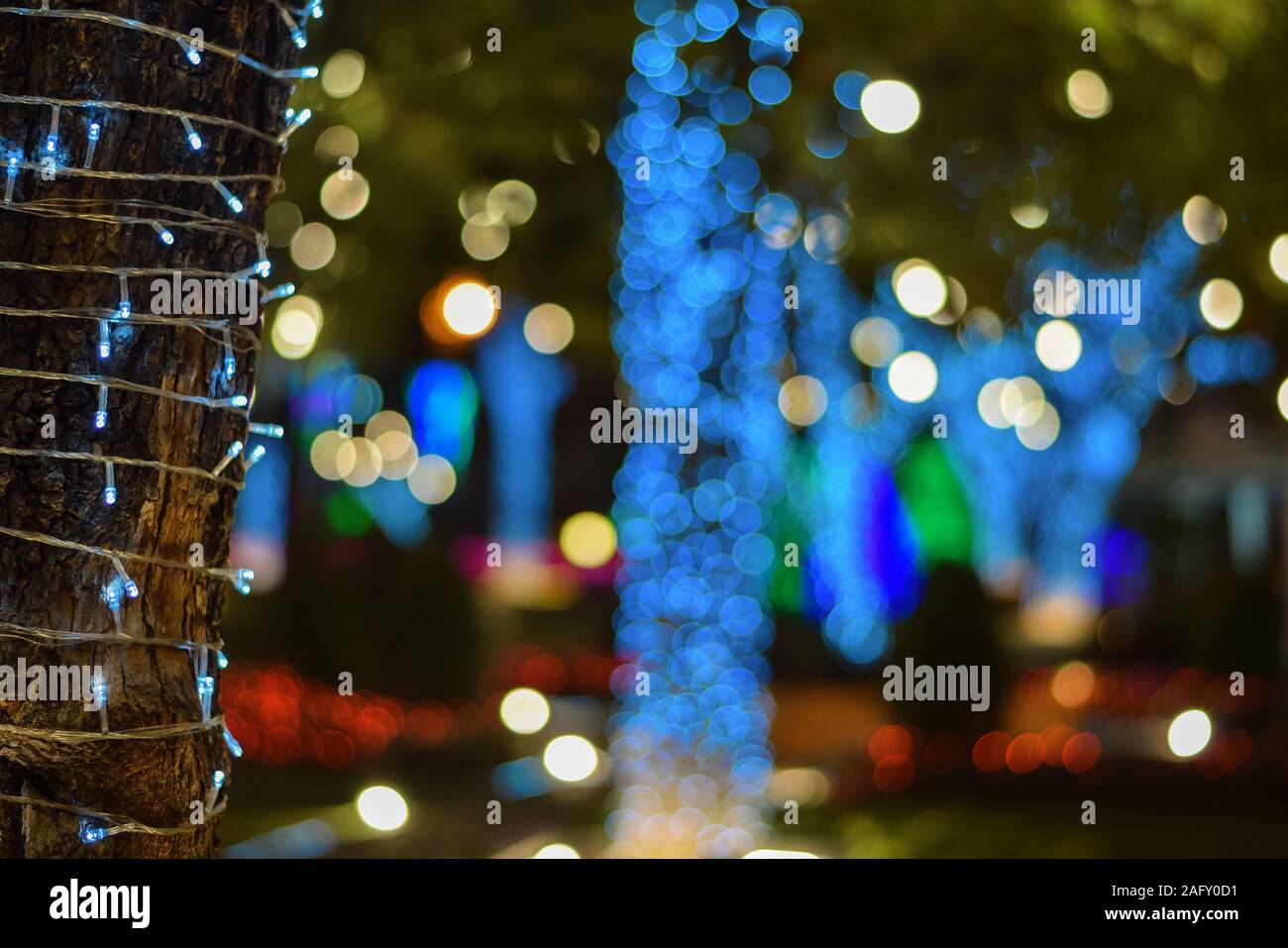 Light decorative outdoor hanging string lights hanging on tree in the garden at night time festivals season Stock Photo