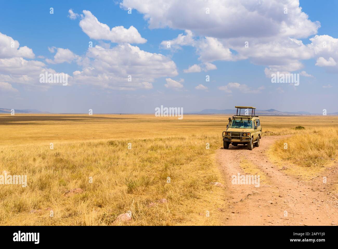 Safari tourists on game drive with Jeep car in Serengeti National Park in beautiful landscape scenery, Tanzania, Africa Stock Photo