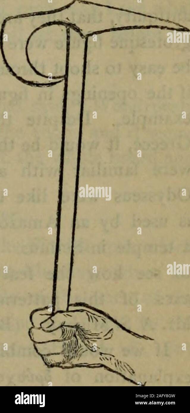The Odyssey Of Homer Done Into English Prose By S H Butcher And A Lang P Ig 2 Fig 5 Handle Fig I But It Must Be Observed A That Wpdittjs In Juxta Position