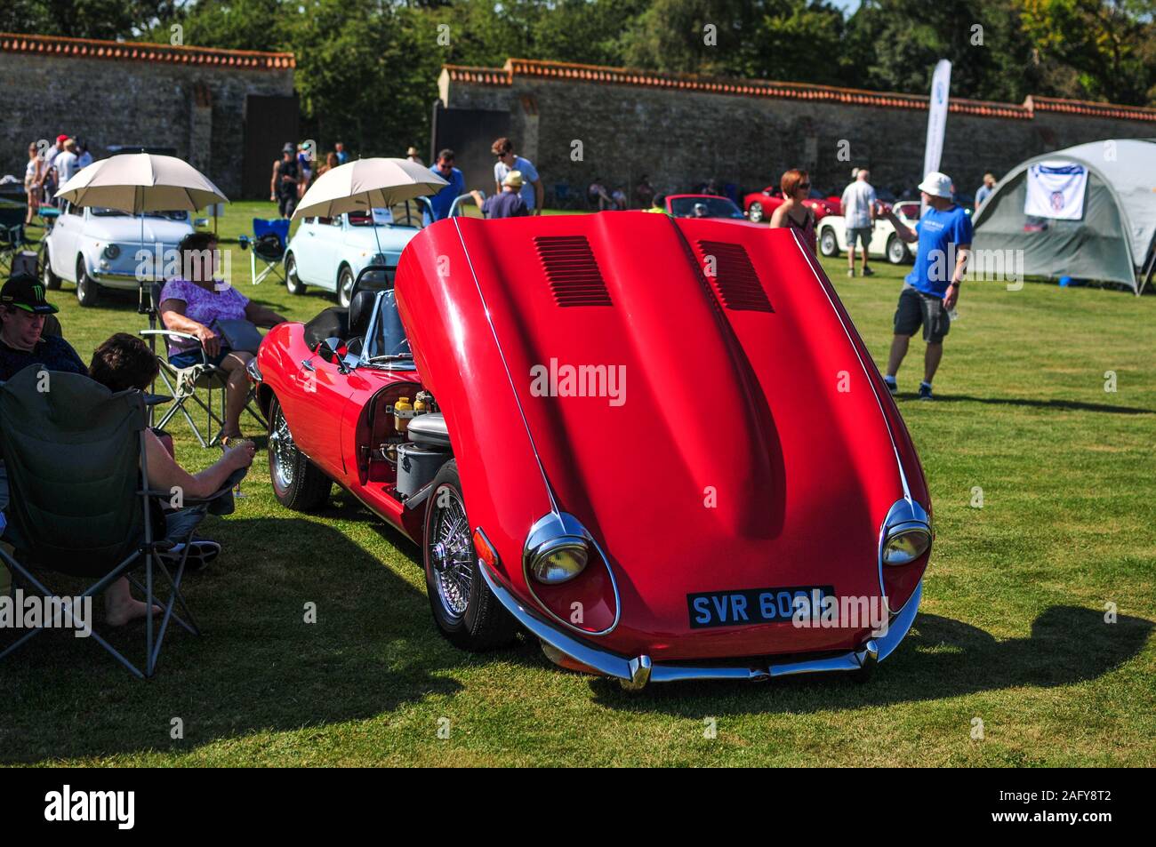E Type jaguar Classic Car show in England UK Stock Photo Alamy