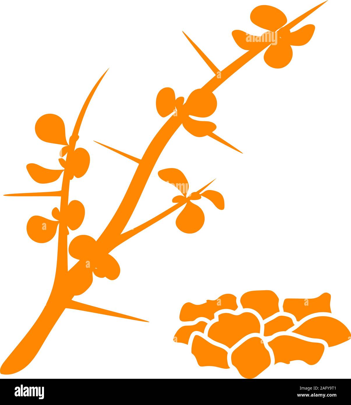 Myrrh, or African myrrh, or herbal myrrh, or Somali myrrhor, or Common myrrh - aromatic plant. Vector illustration Stock Vector