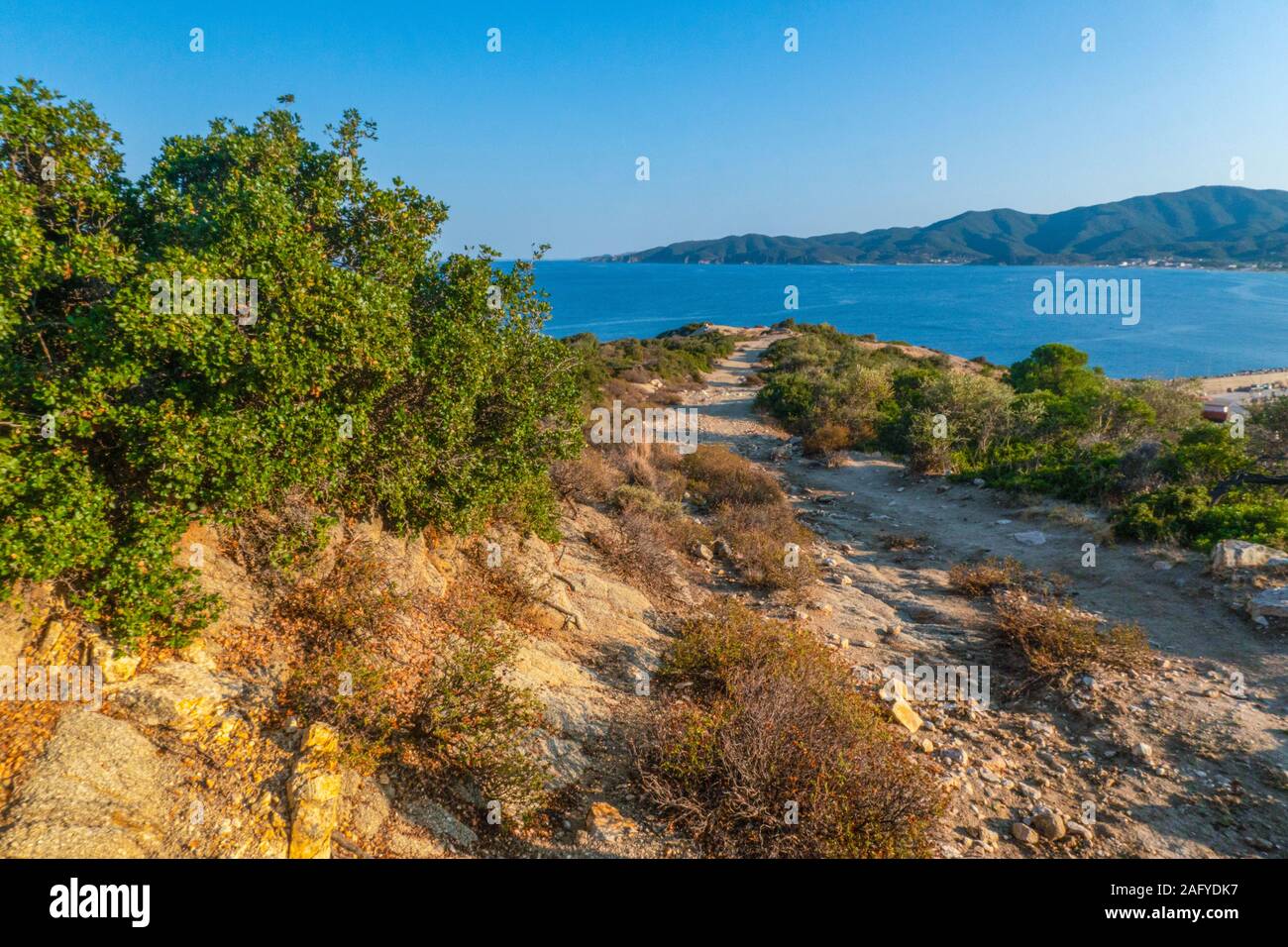 Road to the sea and green trees in Greece horizontal Stock Photo