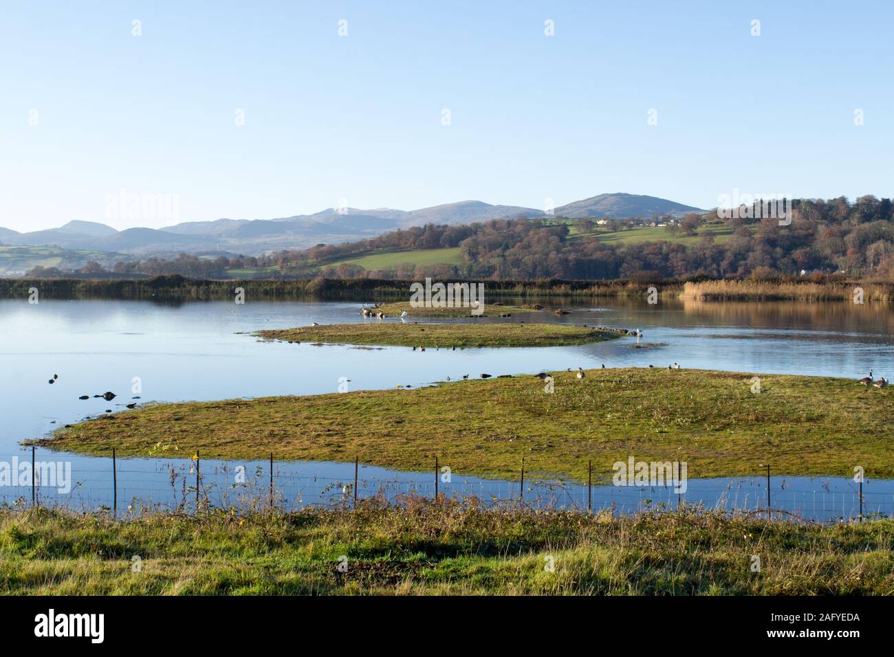 RSPB nature reserve Conwy North Wales Stock Photo