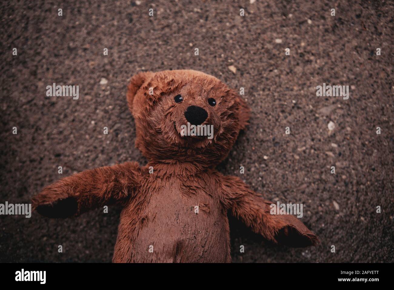 teddy bear fell in a puddle Stock Photo