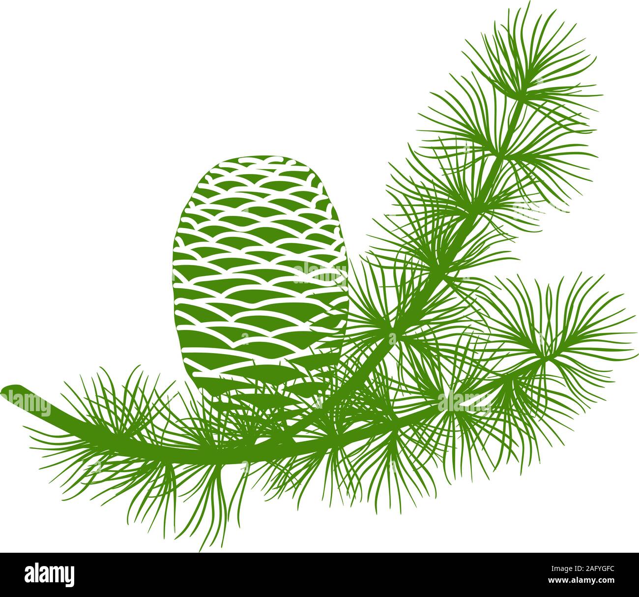 Green fluffy cedar branch and two cones. Isolated on white vector illustration flat Vector illustration Stock Vector