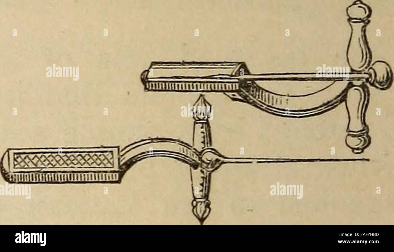 Grallator hires stock photography and images Alamy