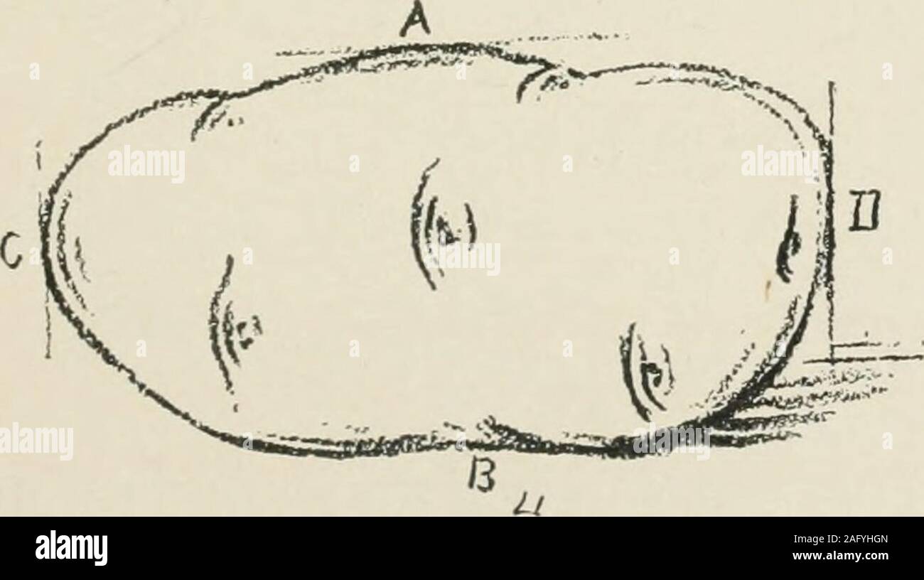 Augsburg S Drawing Book 2 Be Made Level Bywedge Shaped Cleats Placed At The Ends Of The Boards To Neutralizethe Slant Of The Seats And Make The Board Level Four Boards Are