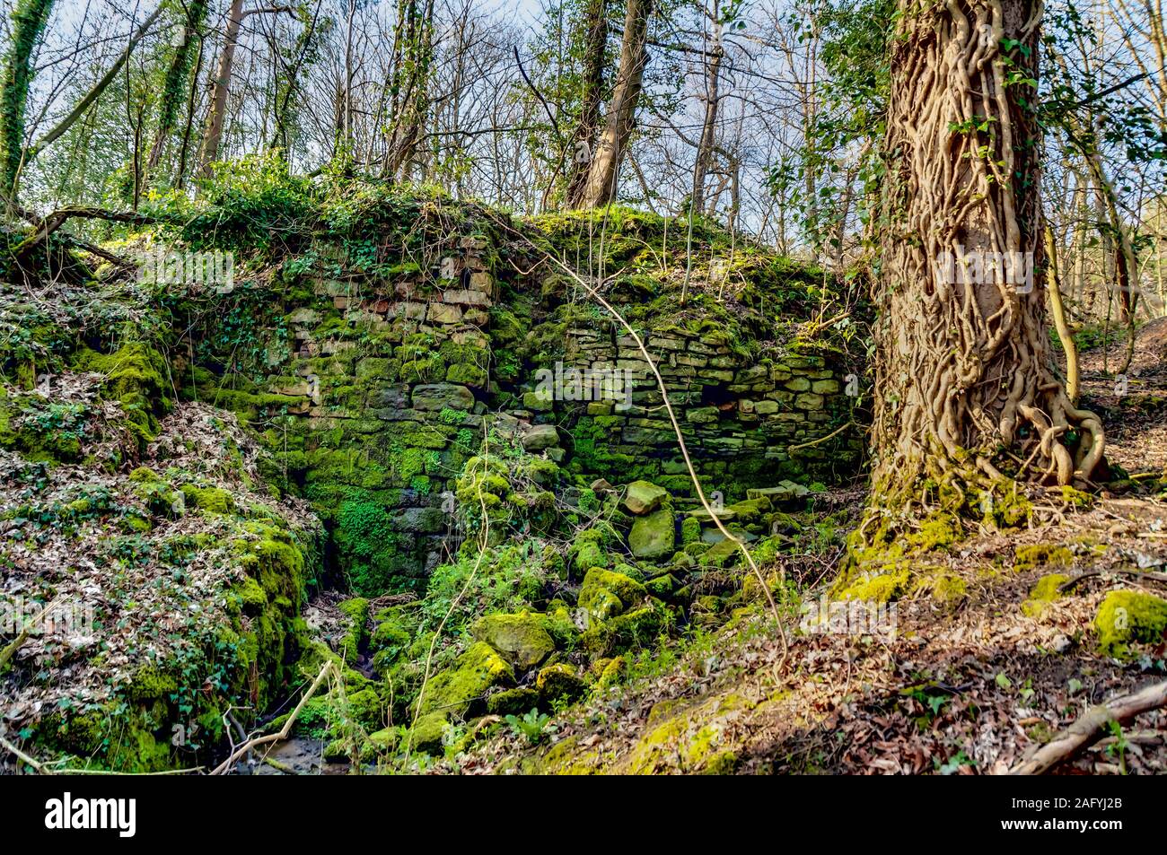 Remains of the old Ryecroft Mill dam at Ryecroft Glen, Ecclesall, Sheffield, previously used for lead smelting. The waterwheel pit and dam wall. Stock Photo