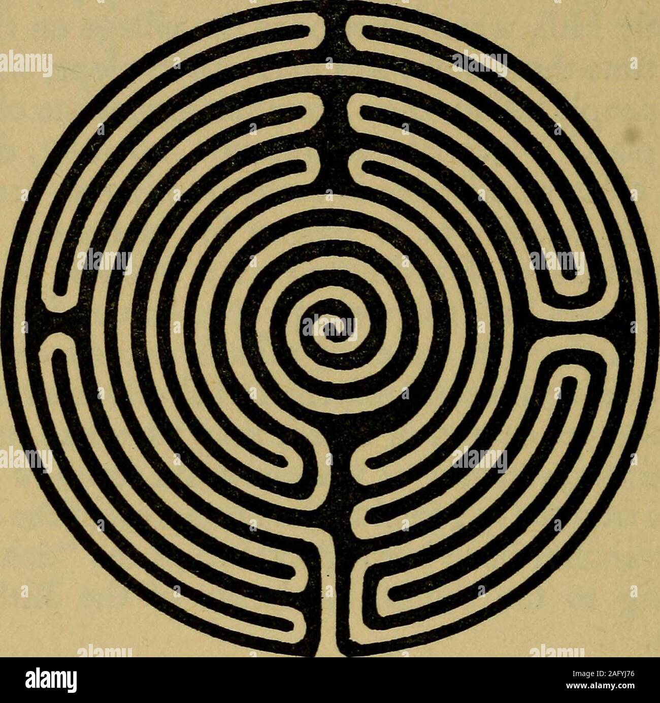 any-maze software copy licence any-maze software copy licence