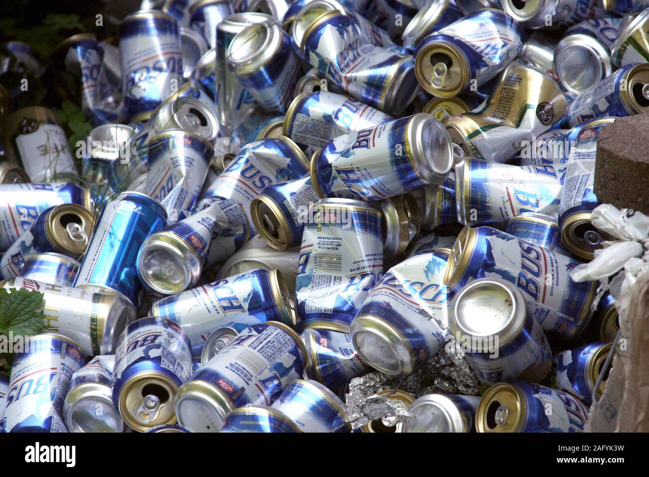 Pile of empty Busch Beer cans in private yard Stock Photo - Alamy