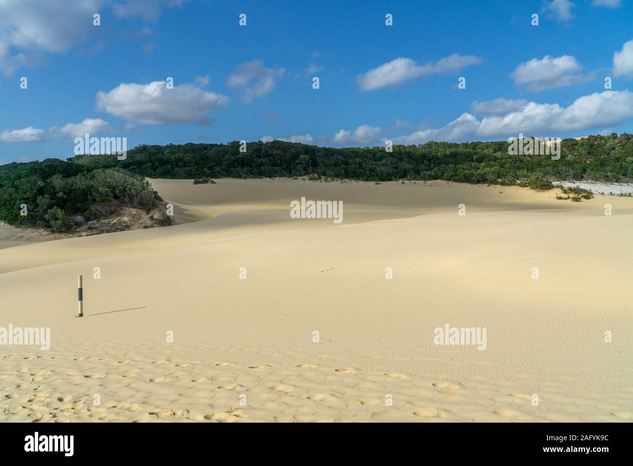 the bright desert beach near the sea on Fraser Island in Australia Stock Photo