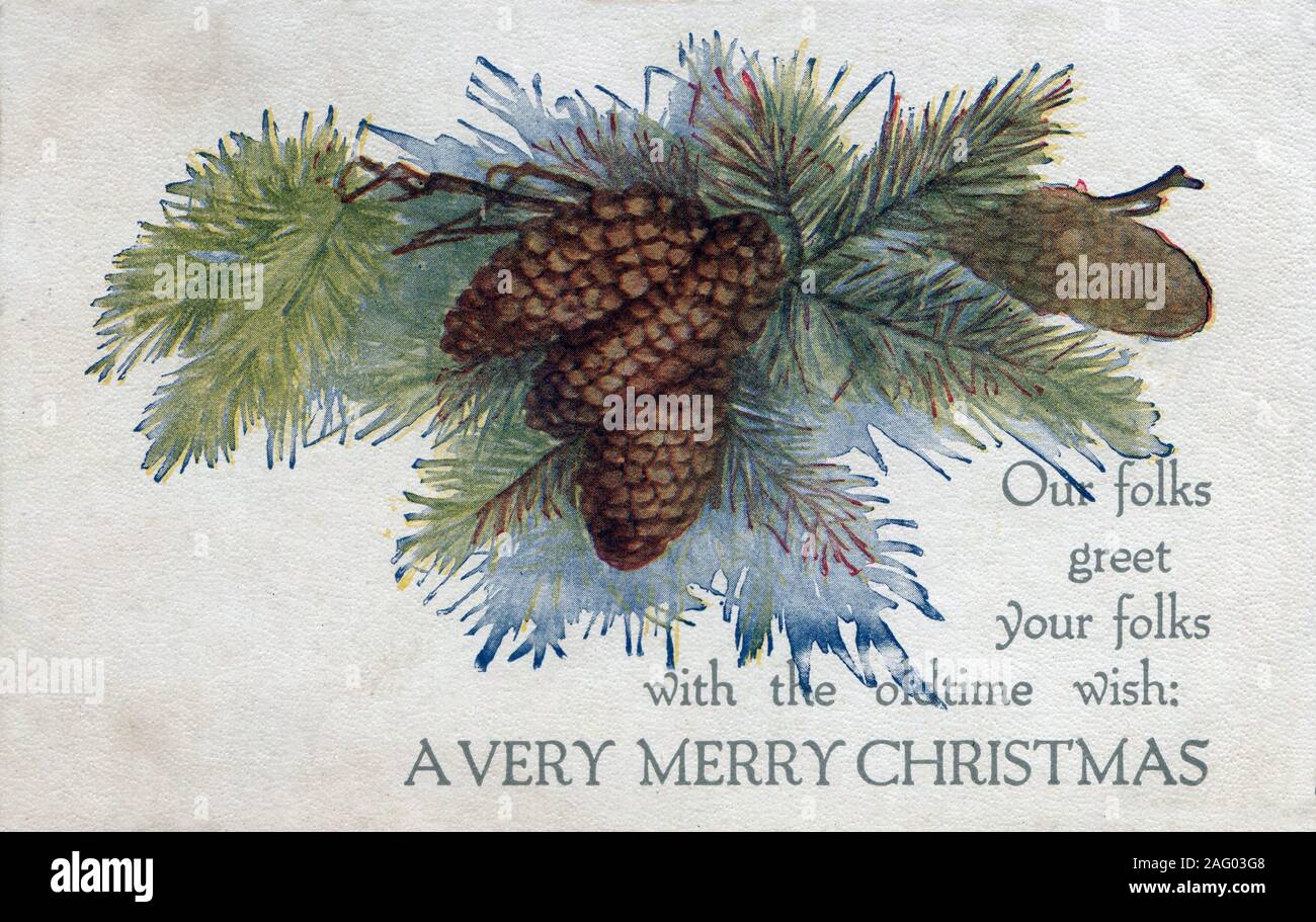 Vintage Christmas Postcard Greeting card, pine cones, evergreen our folks, your folks Stock Photo