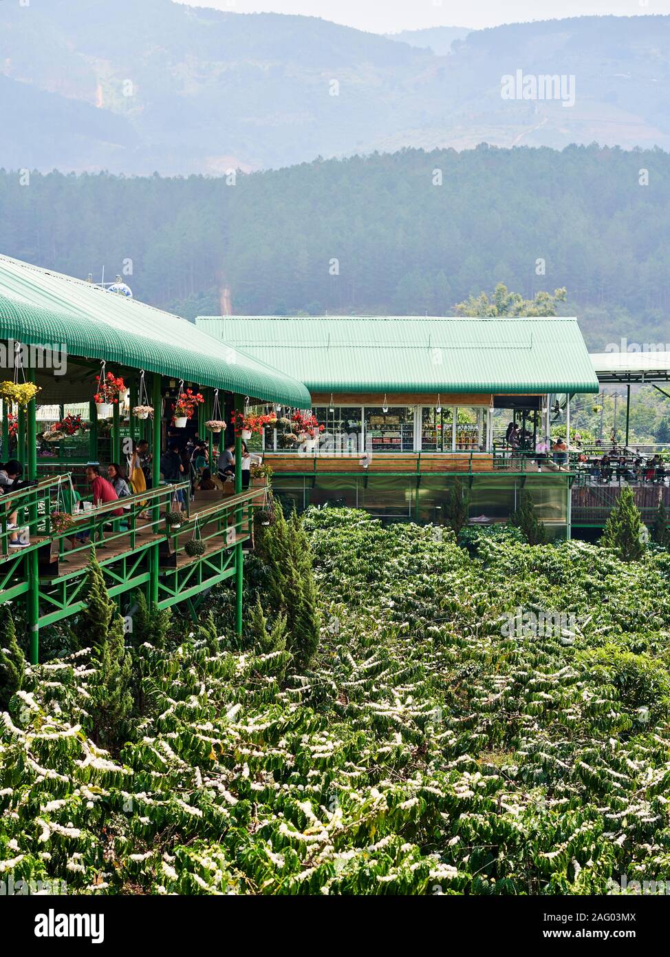 The facade of a cafe looking over a coffee planation in the mountains of Da Lat Stock Photo