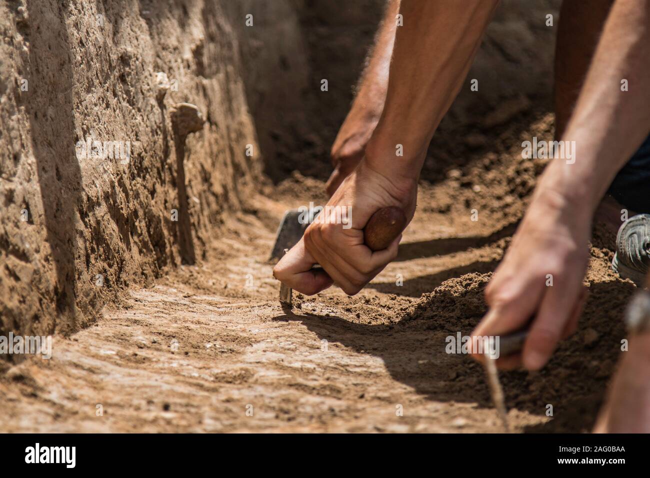 Group archaeologists hires stock photography and images Alamy
