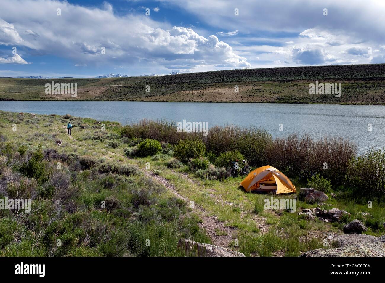 CO00109-00...COLORADO - Campsite along the Great Divide Mountain Bike Route at Upper Dome Resevoir, Dome Lakes State Wildlife Area,Saguache County. Stock Photo