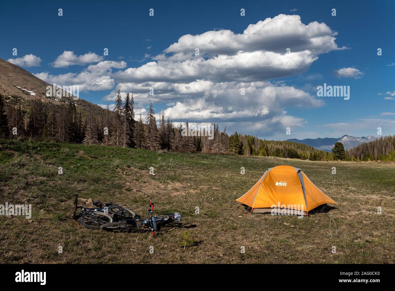 CO00115-00...COLORADO - Campsite at Marshal Pass along the Great Divide Mountain Bike Route in the San Isabel National Forest, Saguache County. Stock Photo