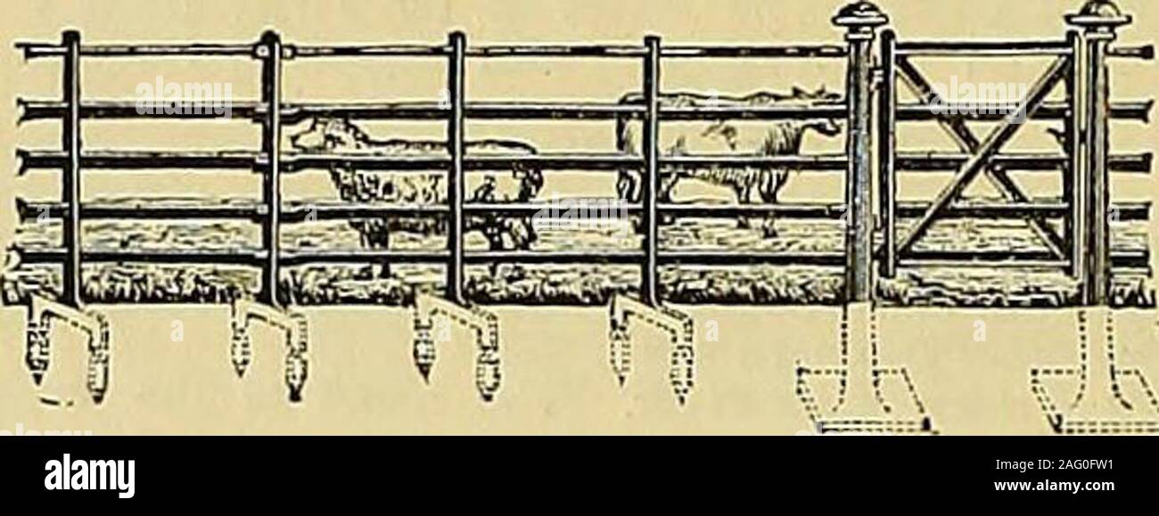 . The Gardeners' chronicle : a weekly illustrated journal of horticulture and allied subjects. erations, and were as follows :—West Hartley, i^s,&lt;^d.Walls End—Hetton, 20;.; Hetton Lyons, -ljs. gd. ;Lambton, igs. 6d. ; Original Hartlepool, 20J.; Tunstall,173-, 9rf.; Chilton, i8j. gd. ; Tees, igs. gd. ET. ARCHERS FRIGI DOMO.—• Patronised by Her Majesty the Queen for WindsorCastle and Frogmore Gardens, the late Sir J. Paxton, and ihelate Professor Lindley, &c. MADE of PREPARED HAIR and WOOL.A ptrfect non-conductor of heat or cold, keeping a fixed tem-perature where it is applied. A good cover Stock Photo