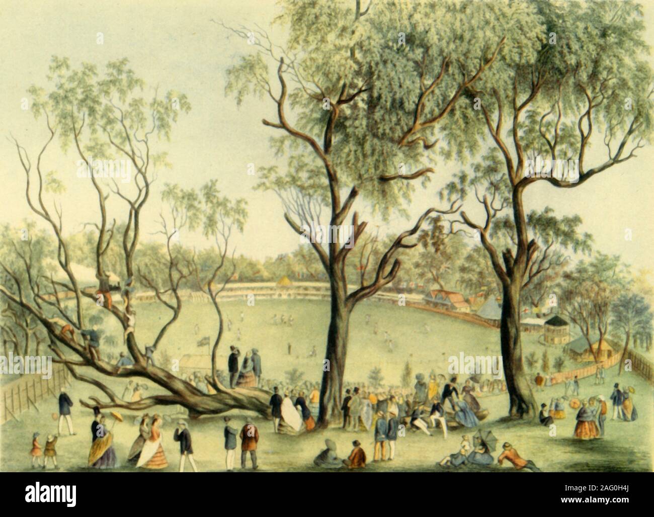 'An XI of England v. XXII of Victoria at Melbourne, 1864', (1947). Spectators climb eucalyptus trees to watch an international cricket match between the All England Eleven and Twenty-Two of Victoria at Melbourne, Australia. The first tour to Australia by an England cricket team was made in 1862. From &quot;English Cricket&quot;, by Neville Cardus. [Collins, London, 1947] Stock Photo