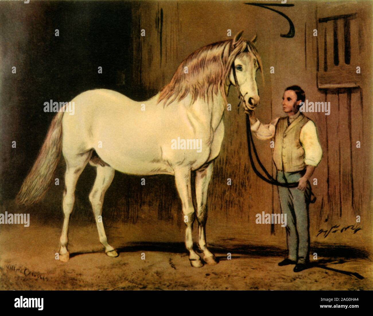 'Cream State Carriage Horse of Queen Victoria's Stud', c1875, (1944