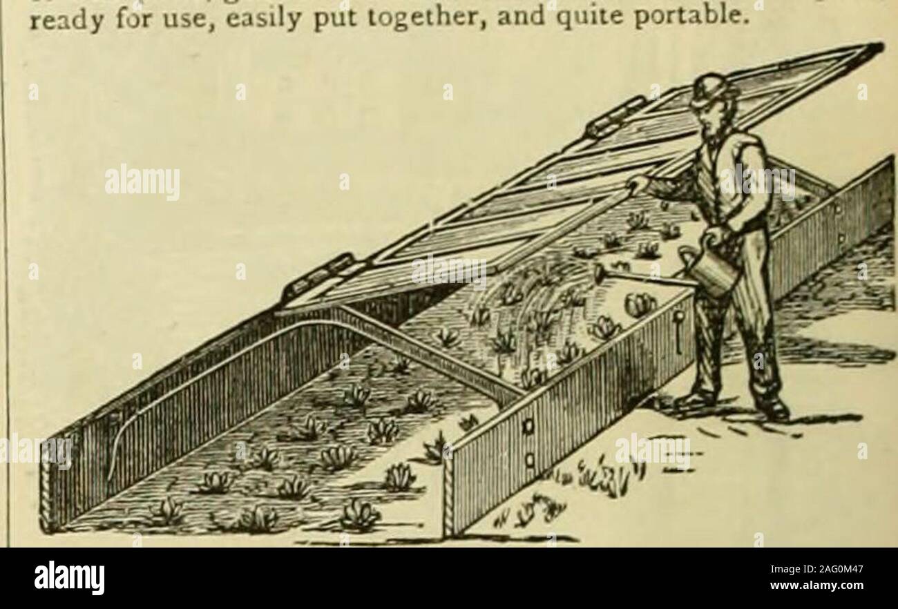 . The Gardeners' chronicle : a weekly illustrated journal of horticulture and allied subjects. PLANT PROTECTORS Are now required for Hardenint;-on Iedding Plaiits, for Grow-ing tender Spring Salads, for Relieving Ctowded Greenhouses,&c. The m&gt;st complete made, as shown on illustration, withstrong wood bides, fixed together by bedding to strong cast-irongirders, which carry the hghts in such a manner that they willeasily turn quite over, allowing free access. Painted three coatsof best paint, glazed with 21 oz. Ilriiish Sheet Glass, complete,ready for use, easily put together, and quite port Stock Photo