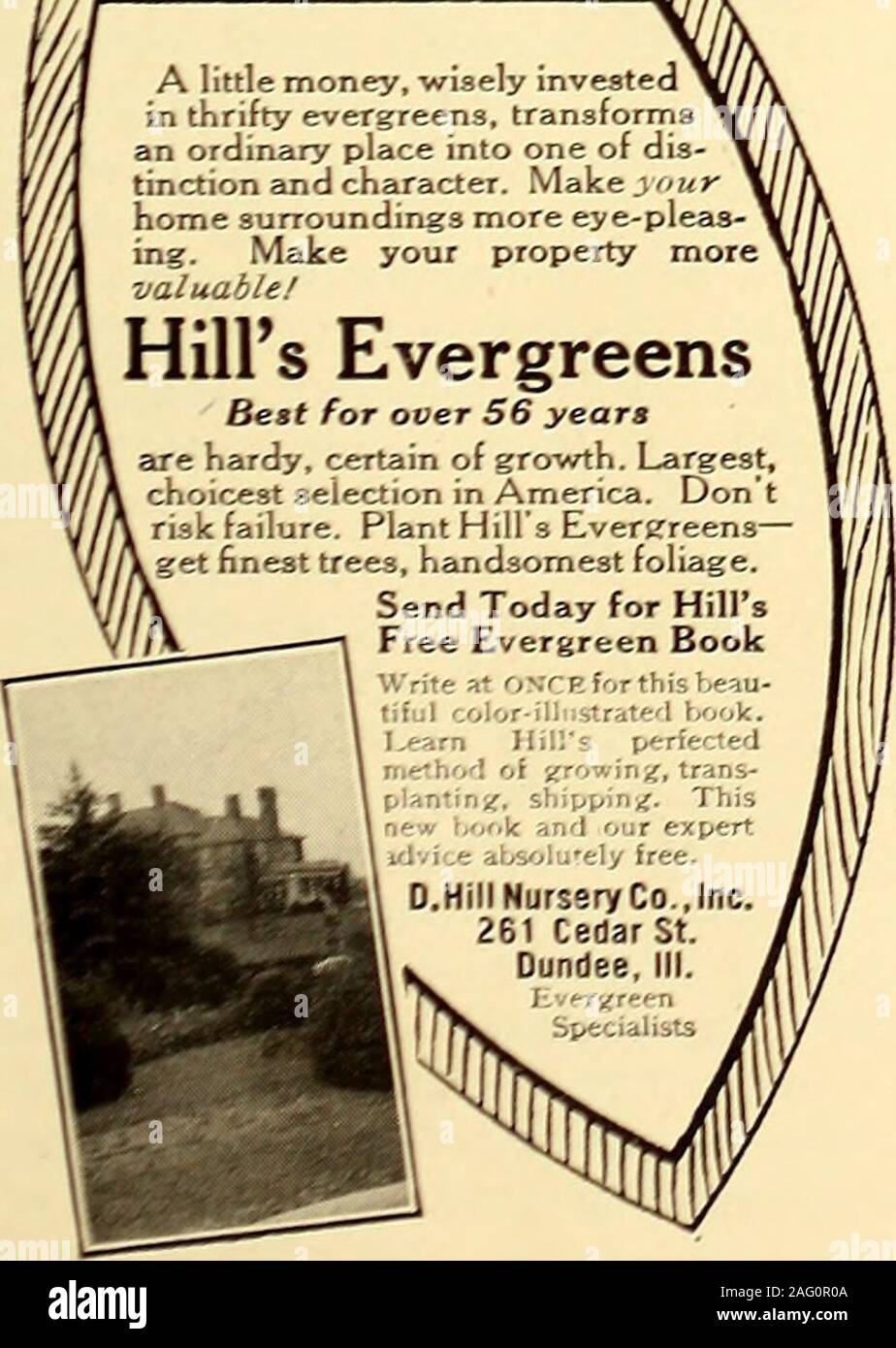 . American homes and gardens. DwarfApples Fruiting Sizes Send for Catalog.The Elm City Nursery Co.New Haven, Dept. M., Conn. ^Kp^ JAPANESE DWARF TREES and Species. 1.—Several varieties. 2.-7years to 85 years old. 3-—Size ; 6 in. tall,6 in. spread, to 17 in., to 30 in. spread.4.—Shape and style; Mount Fuji, RisingSun, Setting Sun, Flying crane, tiers, etc. garden JAPONICA 1305 W. 43rd St., Kansas City, Mo. Rare Beauty Taste,EleganceForYourHome. butter, or diced and served with a creamsauce. But on no account let it get aheadof you. Raising Okra is another satisfactoryexperiment. This vegetable Stock Photo