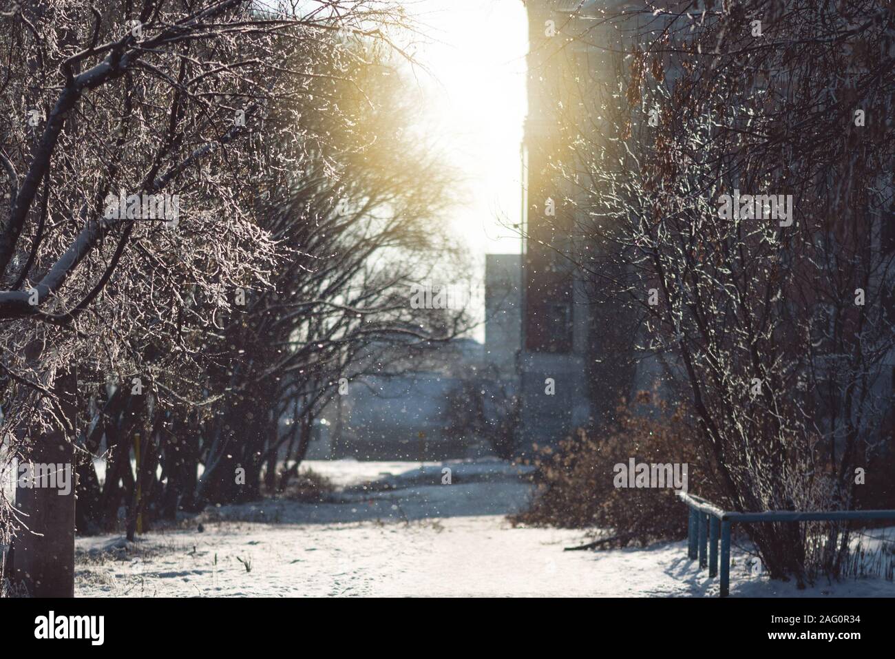 Empty road through snow hi-res stock photography and images - Alamy