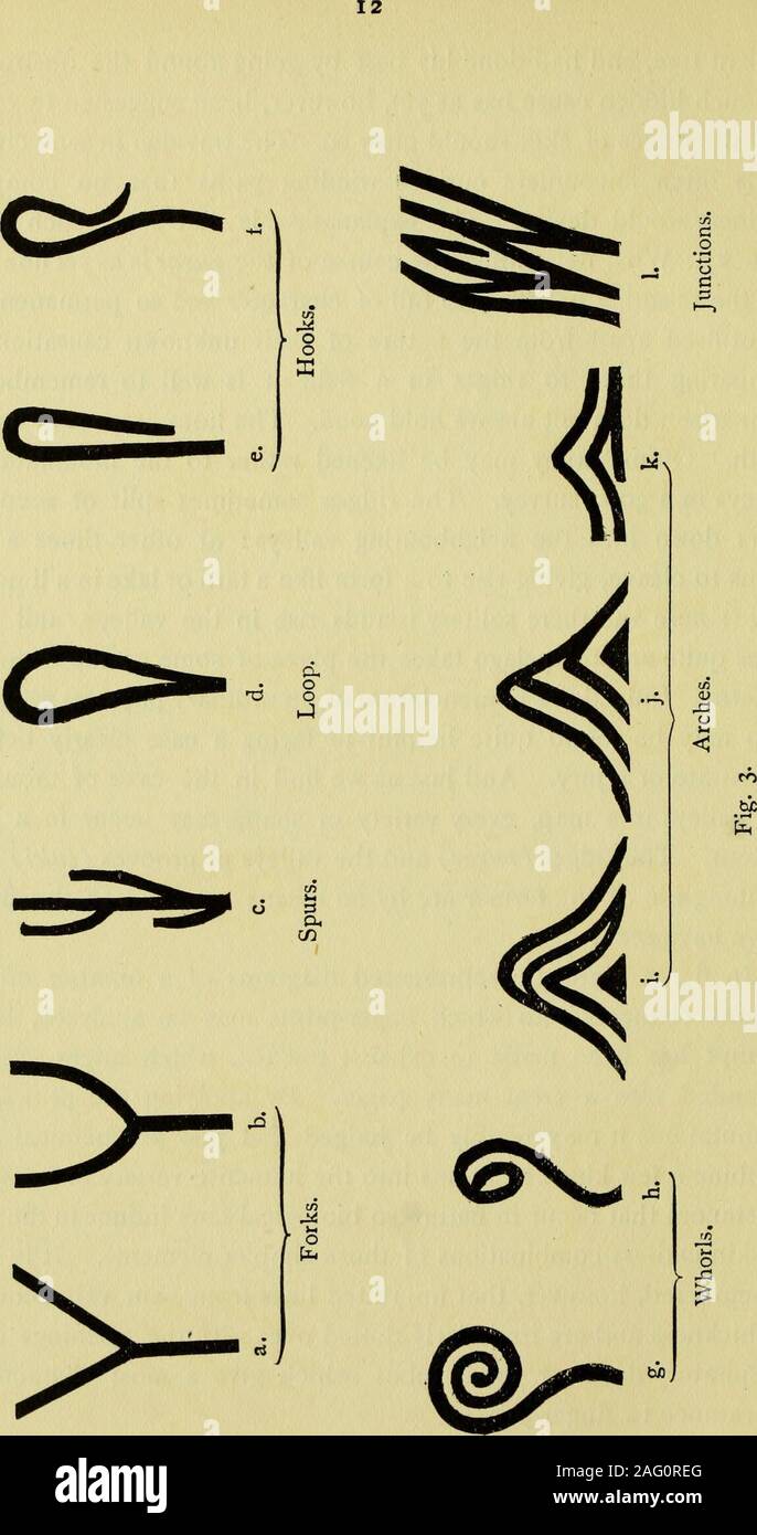 . Guide to finger-print identification [electronic resource]. find in ...