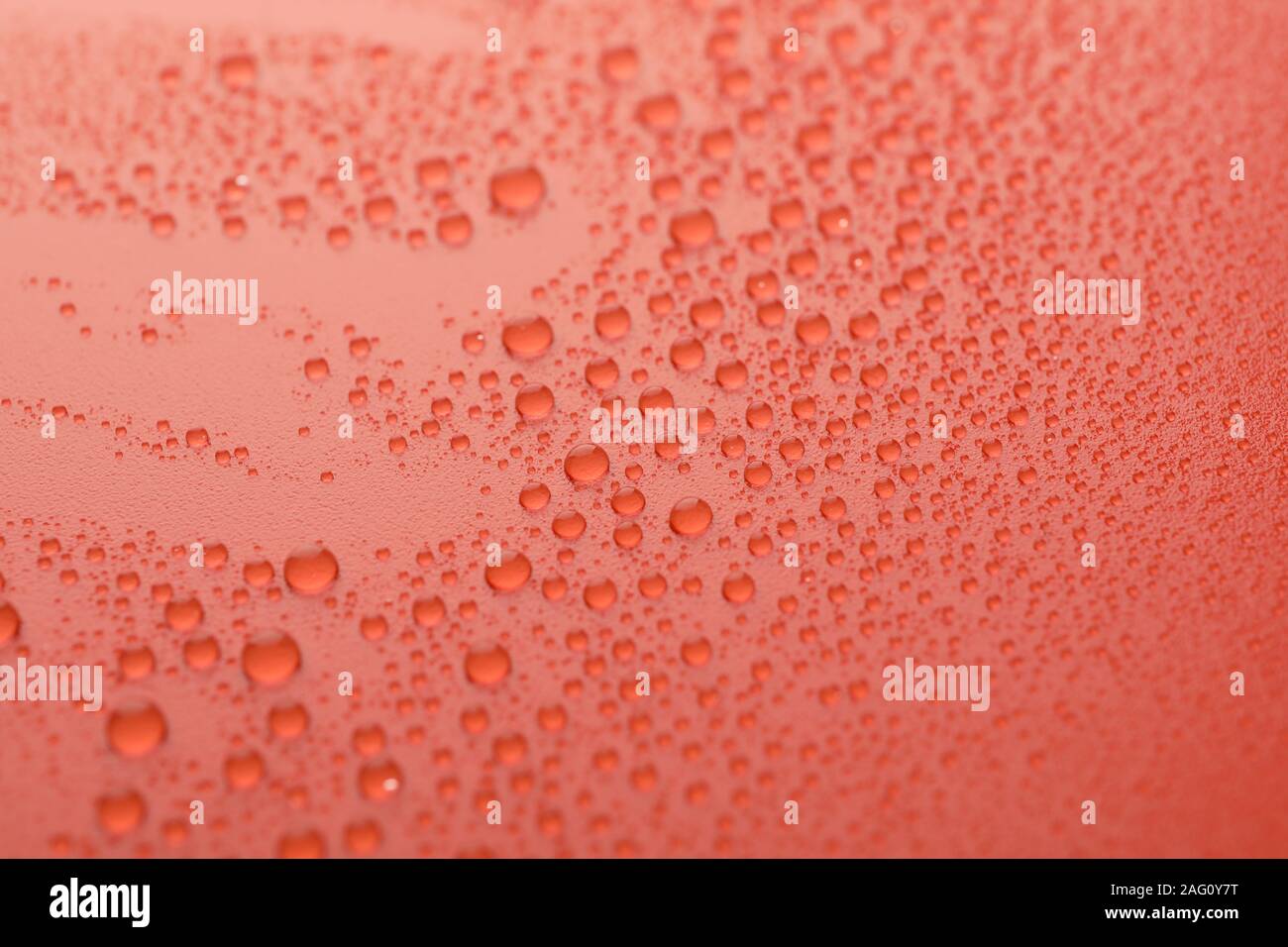 Many water drops on red background. Texture background. Stock Photo