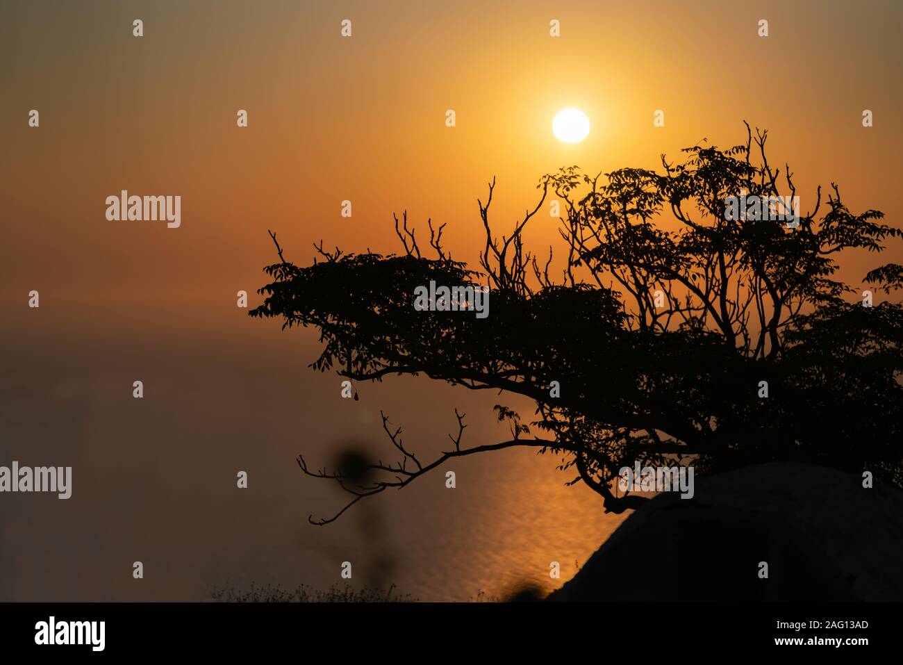 Overhanging tree silhouette hi-res stock photography and images - Alamy