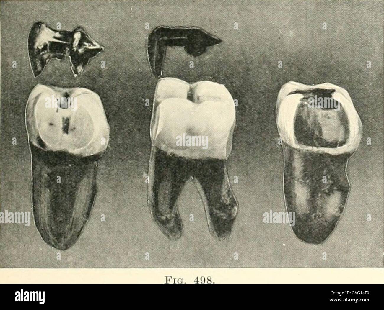 . The science and practice of dental surgery. 4JS. providing for an