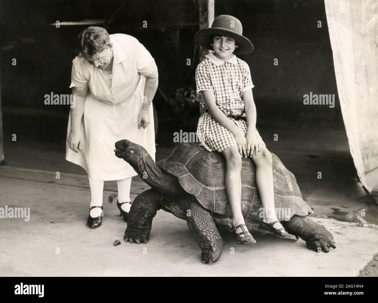 Early 20th century vintage press photograph - a little girl sitting on a giant tortoise in Mombasa Kenya Stock Photo