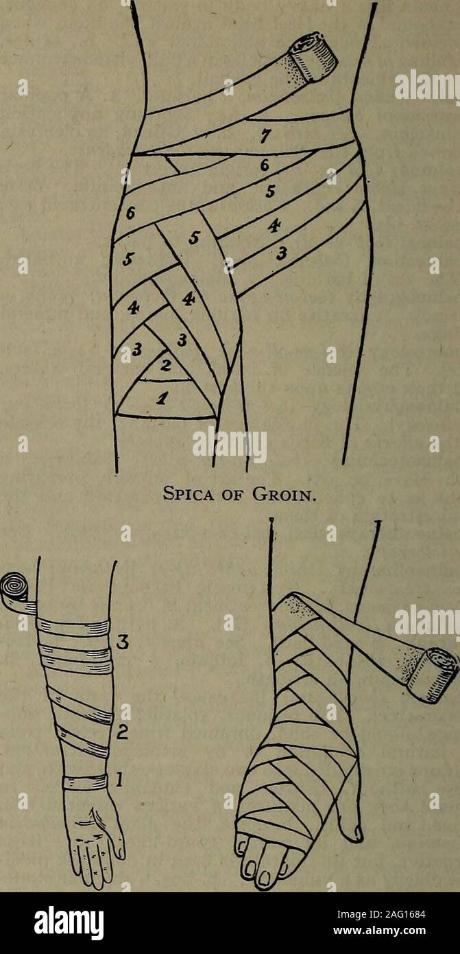 . The practitioner's medical dictionary; containing all the words and