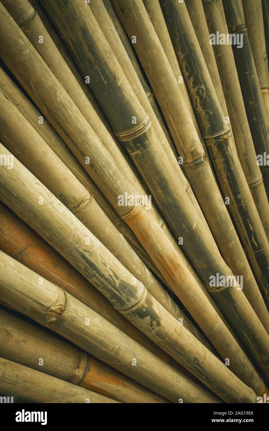 Stacked of dry bamboo for building materials Stock Photo Alamy