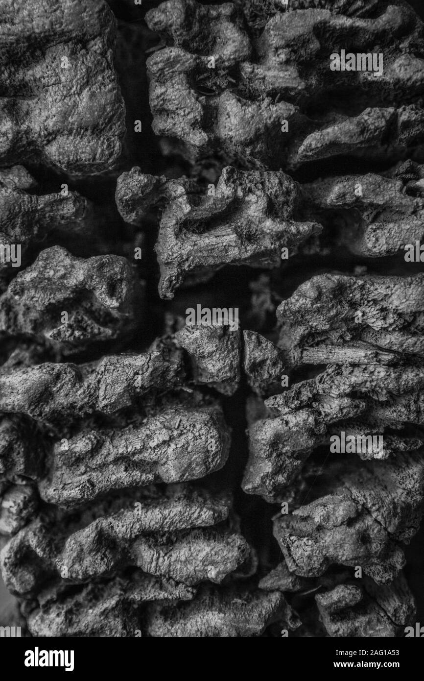 Old railroad sleeper detail Black and White Stock Photos & Images - Alamy