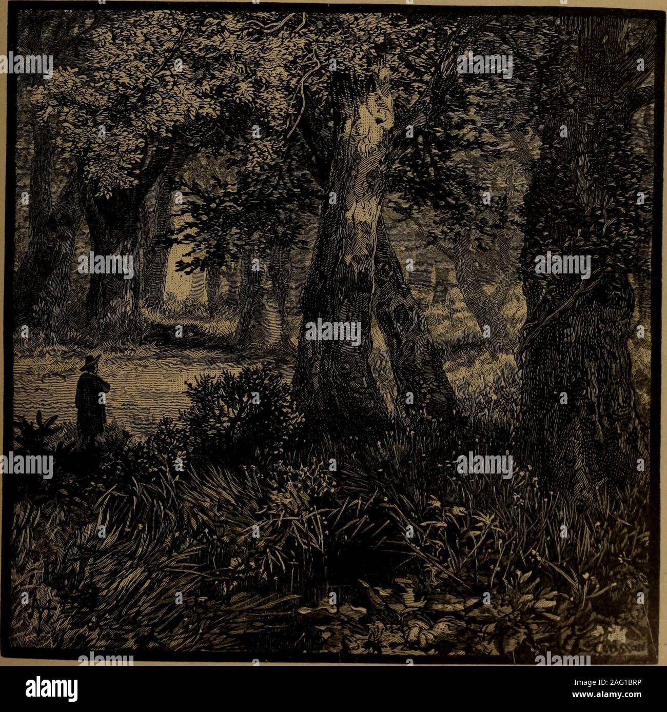 . The poetic and dramatic works of Alfred lord Tennyson. , and the