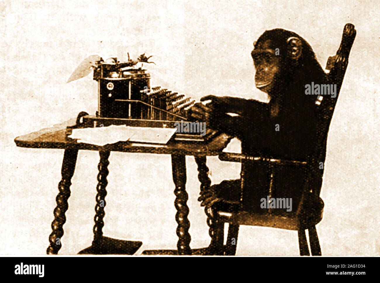 A 1930's image of a chimpanzee using a typewriter, illustrating the monkey metaphor whereby in theory whereby a monkey hitting keys at random on a typewriter keyboard for an infinite amount of time will almost surely type any given text, even a work of Shakespeare Stock Photo