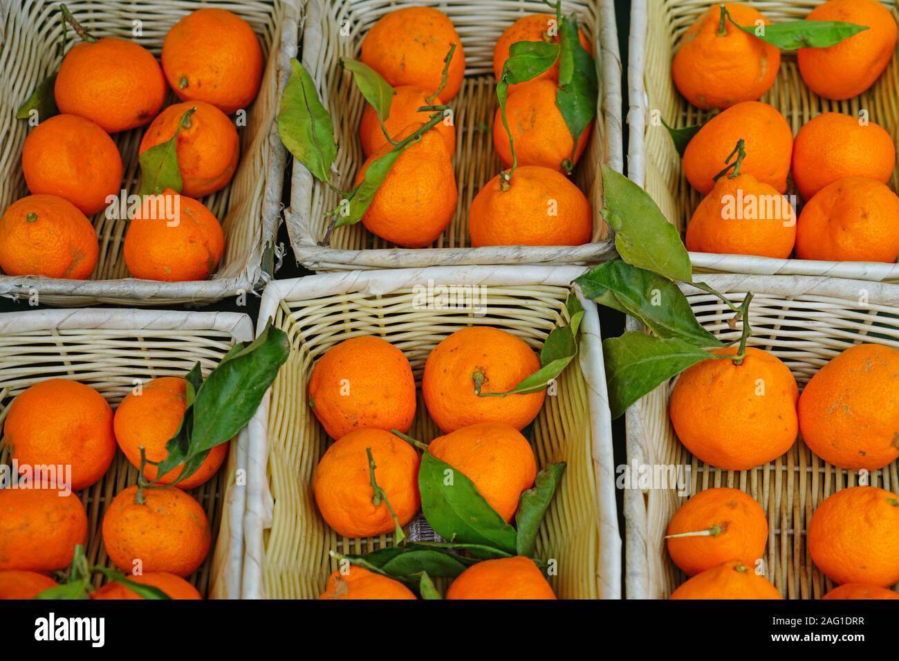 Fresh orange clementines for sale at a farmers market in Australia
