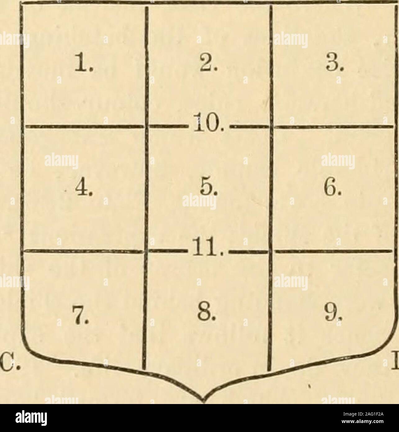 Handbook of ornament; a grammar of art, industrial and architectural  designing in all its branches, for practical as well as theoretical use.  Older. Later. Divisions of the Shield into 9 quarters