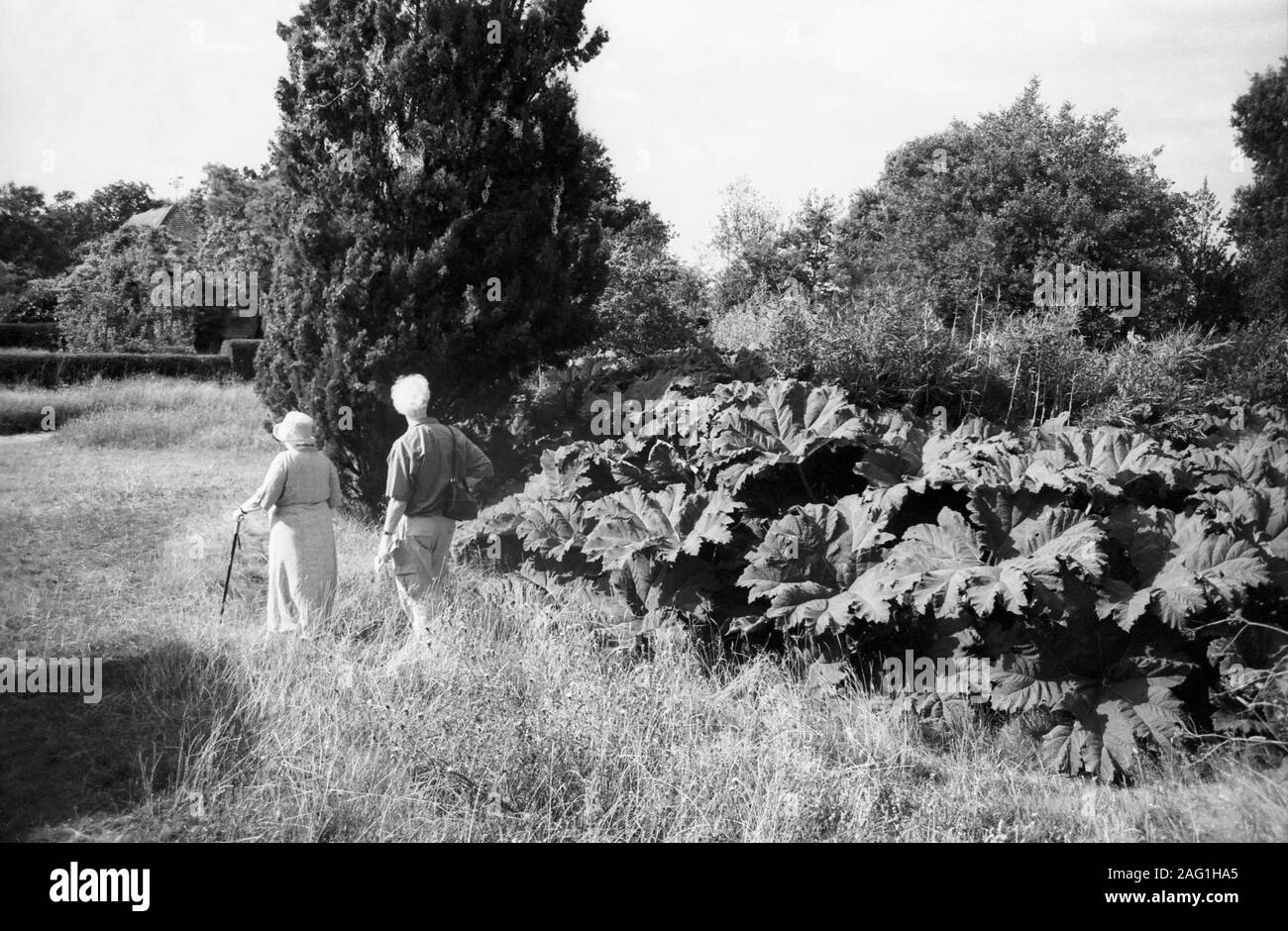 A couple enjoying a corner of Christopher Lloyd's garden at Great Dixter, Northiam, East Sussex, UK.  Black and white version Stock Photo