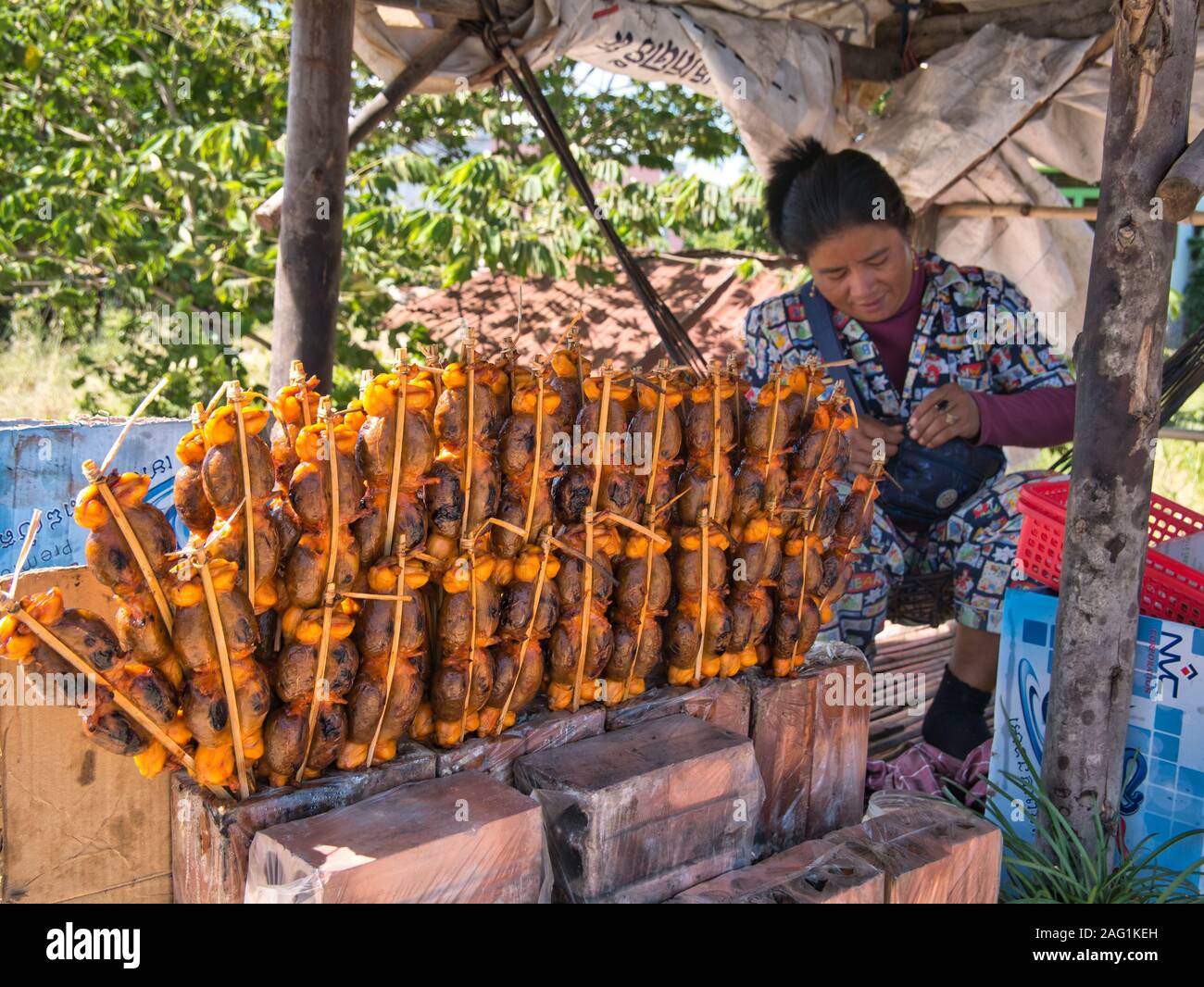 Fried frogs on sticks at a roadside stall near Phnom Penh in Cambodia Stock Photo