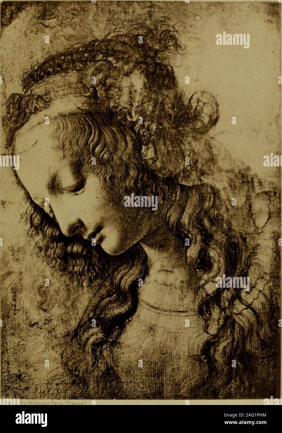 Leonardo da vinci as a young man hires stock photography and images