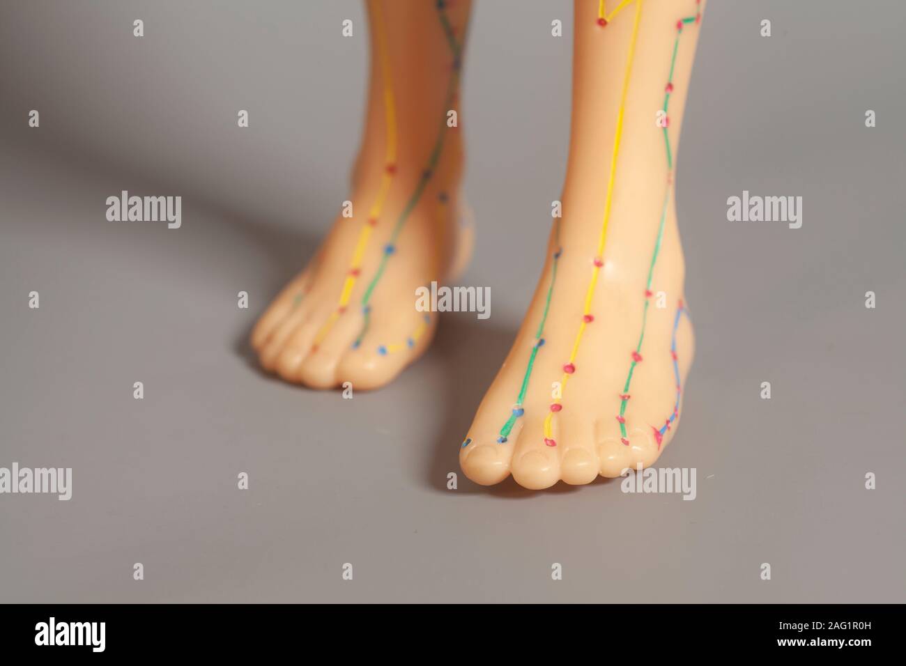 Medical acupuncture model of human feet Stock Photo Alamy