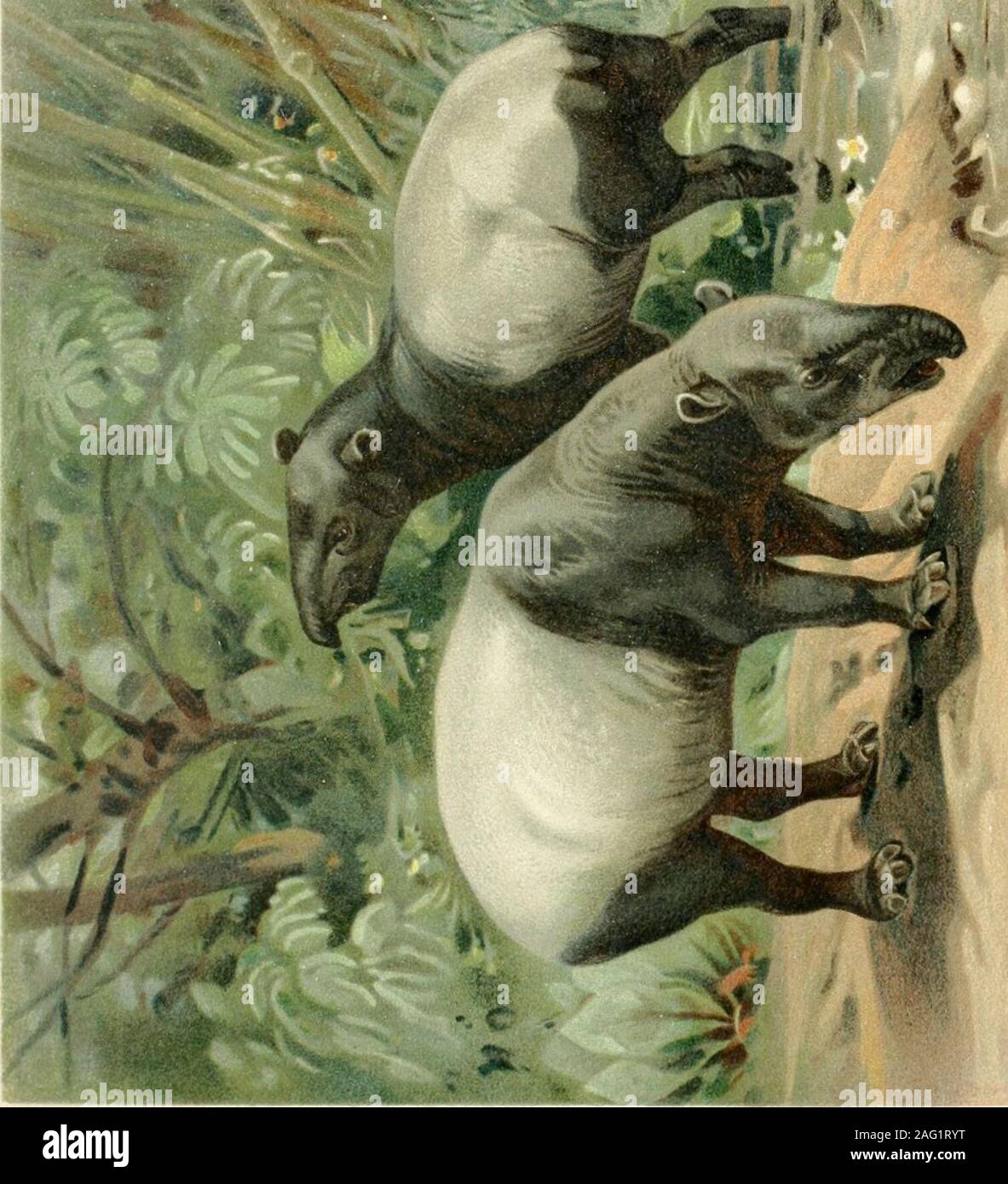 Brockhaus Konversations Lexikon I Gt L I Y X 2 Ara6u Uj In 5j Einafieii 3 Ar H Aca 615 3jlin C T 3 A Rat U Iu 3