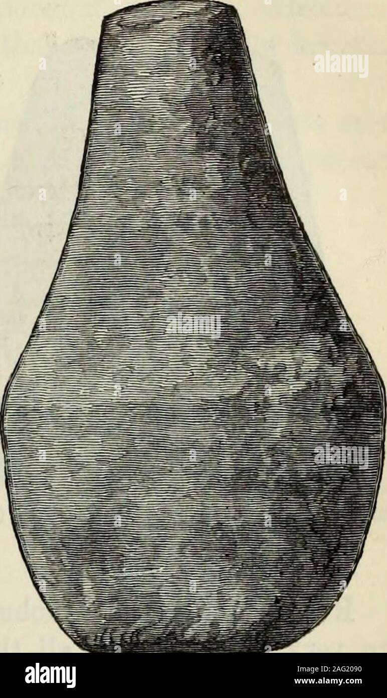 . Ilios : the city and country of the Trojans : the results of researches and discoveries on the site of Troy and throughout the Troad in the years 1871-72-73-78-79, including an autobiography of the author. No. 76. Implemenl of Basalt; probably a Mortar.(About 1 : 5 actual size. Depth, 48 to 53 ft.) No. 77. Pestle of compact Limestone.(Half actual size. Depth, 45 to 43 ft.) Pliny ^ confirms the fact, that the grain was merely bruised and boiled topap, or eaten in form of dumplings {offae). No. 76, which is of basaltic lava, has a globularcavity, and may probably have been used as a mortar.The Stock Photo