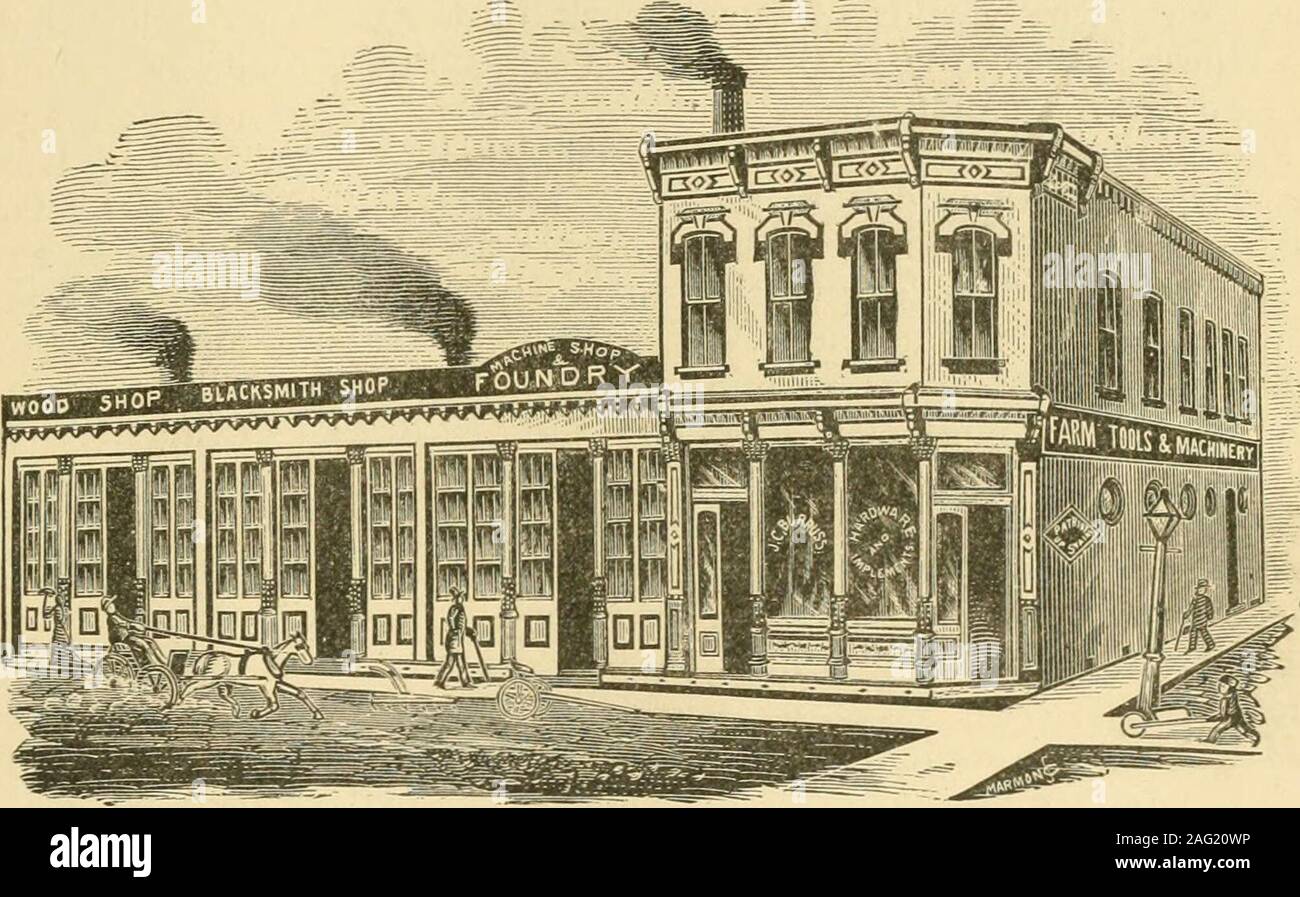 . History of Greene county, Illinois its past and present. ty