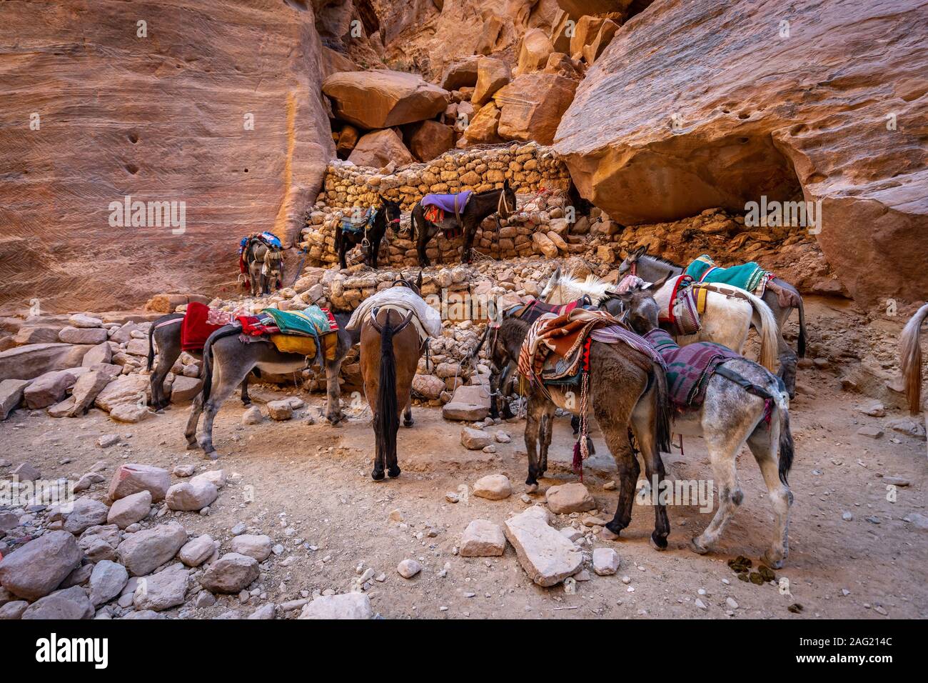 Mule resting area in Petra, Jordan Stock Photo