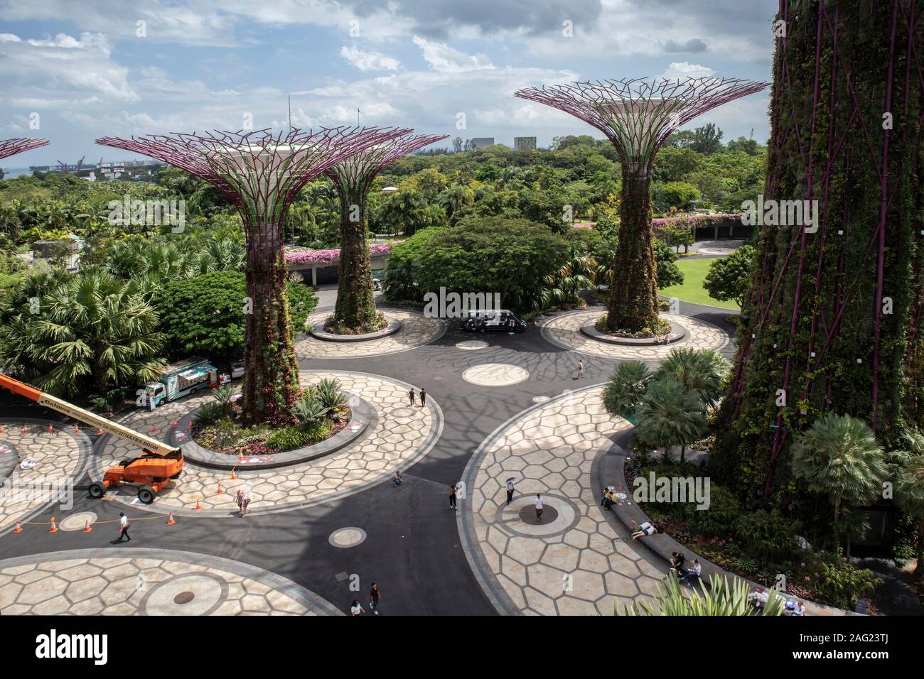 Gardens in the Bay, Singapore Stock Photo - Alamy