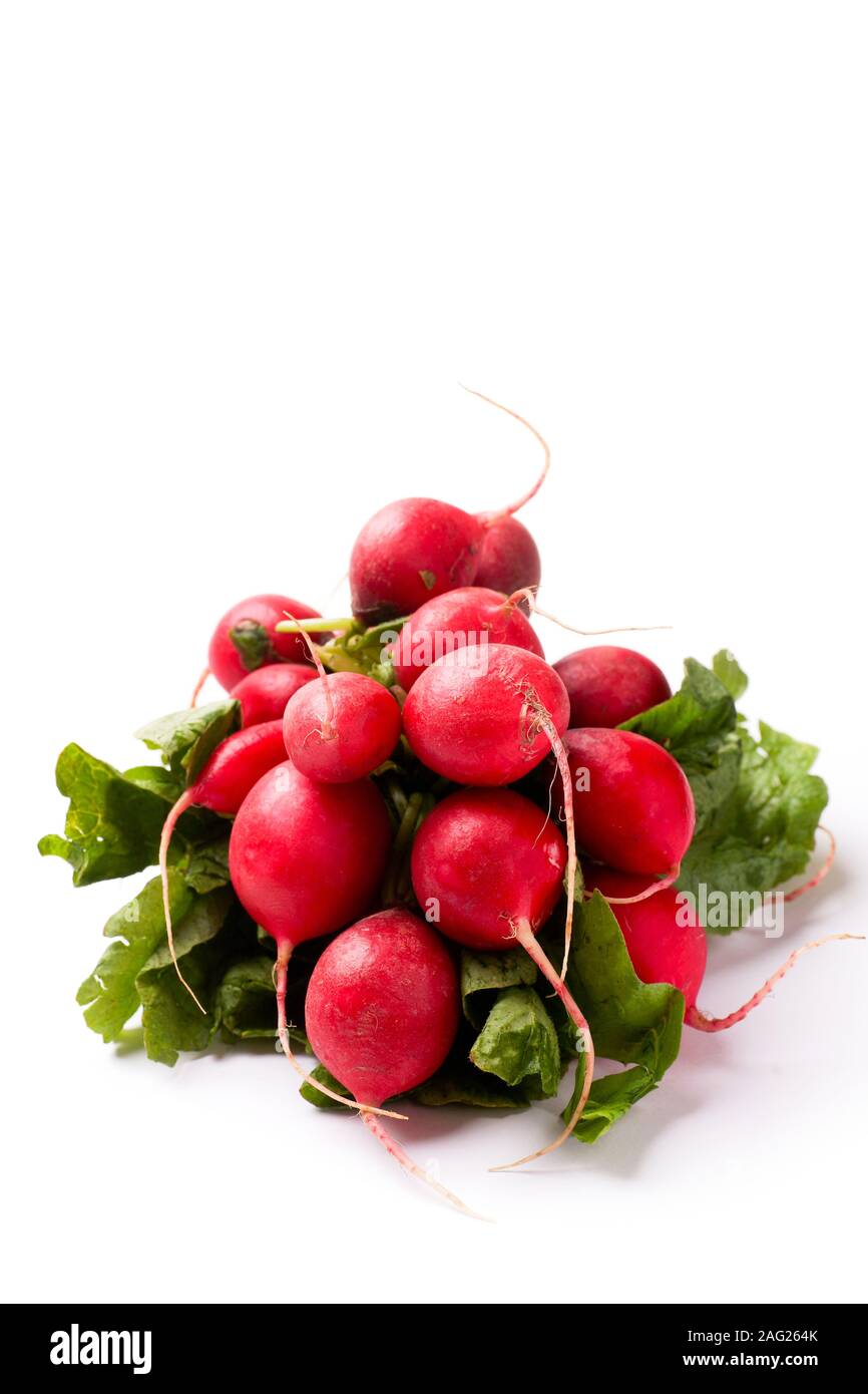 Radishes Ripe Ripe red radishes isolated on white background with lots of copy space ...