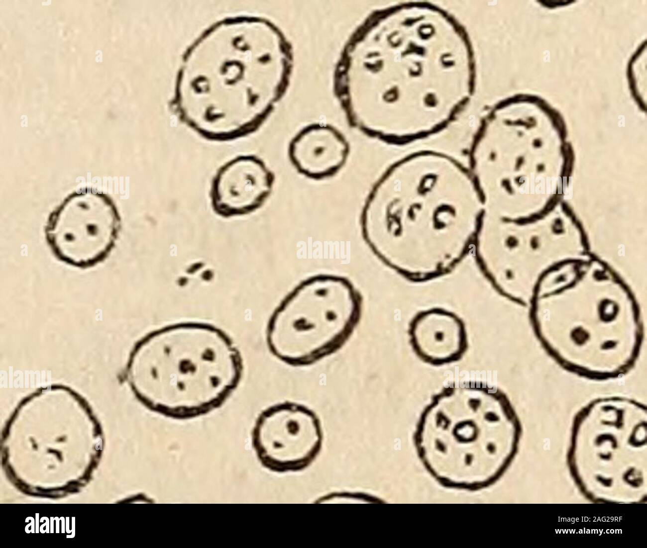 Micro injuries hi-res stock photography and images - Alamy